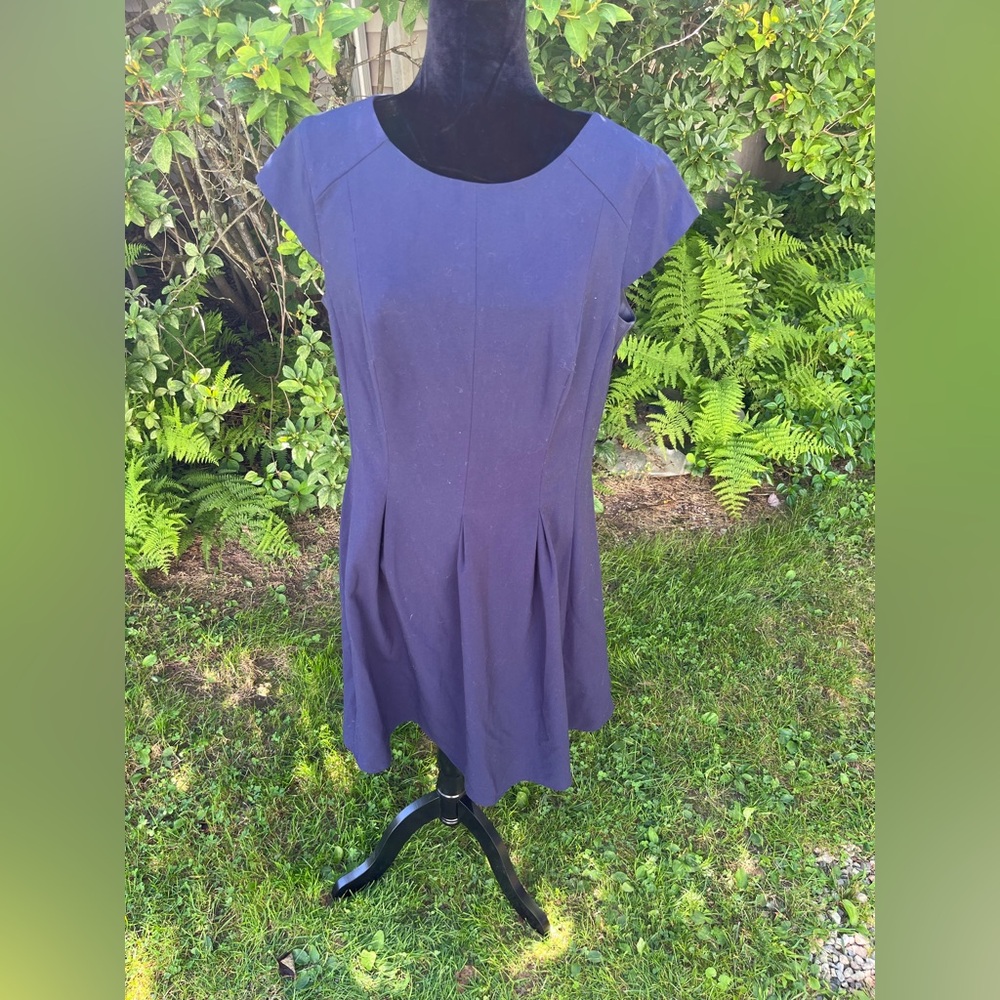 Dress Barn Deep Blue Midi Dress